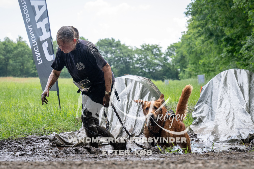 1116_ZZ92342 | kk-dogfotos