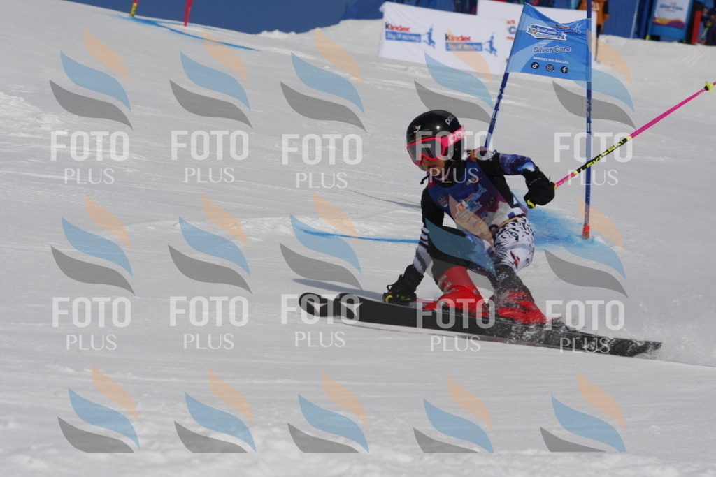 _W1G0283 | holidayphoto