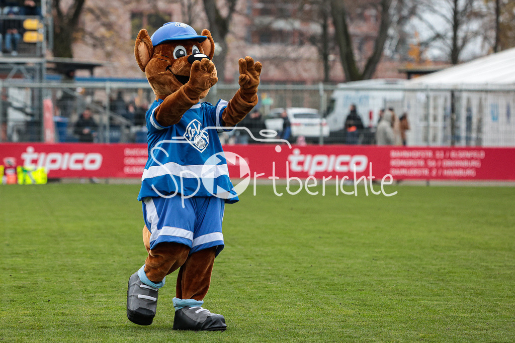 SV Vikoria Aschaffenburg - FC Bayern Amateure | Das Maskottchen der Hausherren Viki in Aktion