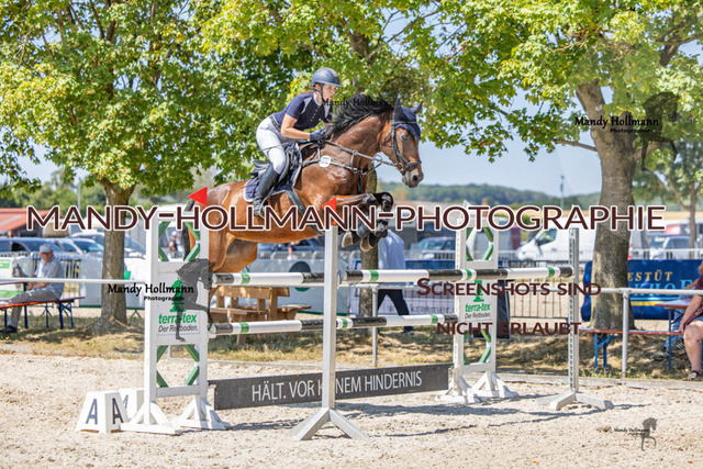 26-7-24 SPF m++-741 | mandyhollmannphotographie