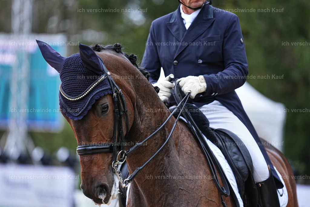 12-226-DRESSUR  S___  -Marixx-5199 | working equitationturnier fotograf videograf stoibphotography marixx film working equitation deutschland reitsport turnierfotografie eventfotografie equestrian events