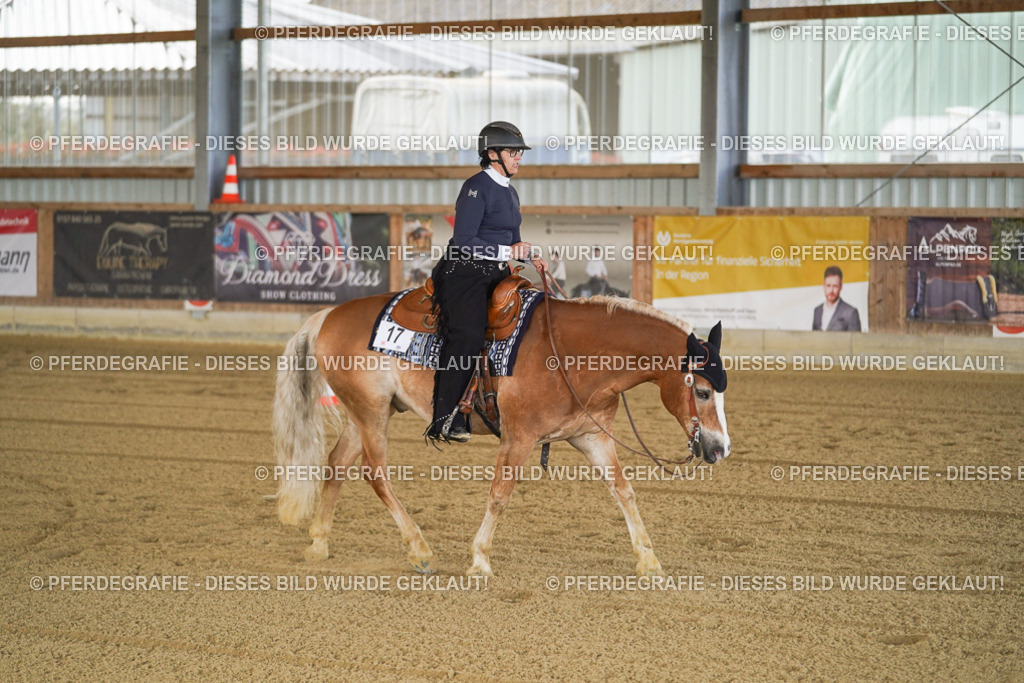 DSC09819 | Pferdegrafie