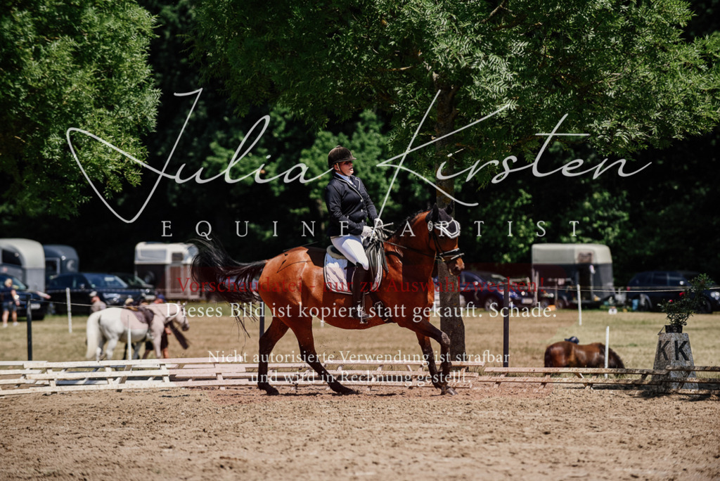 DSC_2020 | Pferde- und Turnierfotografie in Westsachsen. Pferdeportraits, Auftragszeichnungen und intuitive Kunst.
