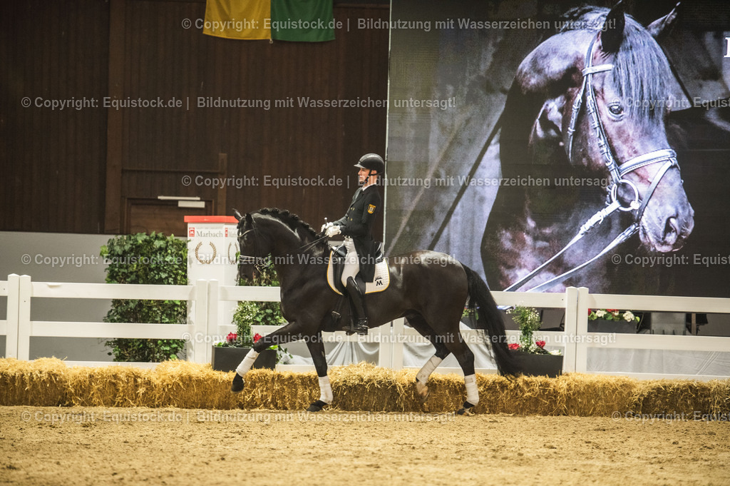 20240302_Hengstvorstellung_Marbach_TOMsPiC_1517 | equistock