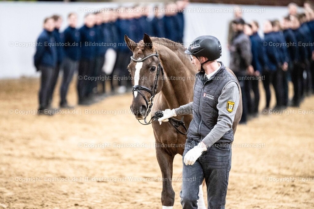 20260307_Hengstvorstellung-Marbach_0541 | equistock