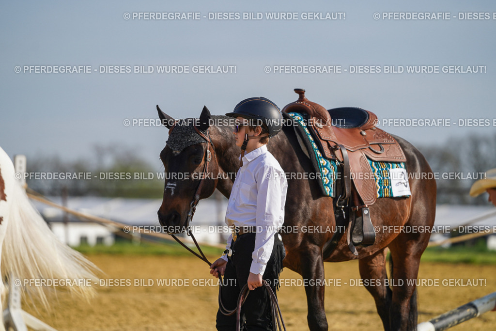 DSC00945 | Pferdegrafie