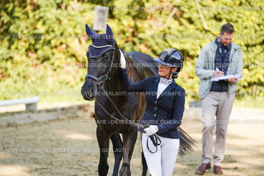 DSC06529 | Pferdegrafie