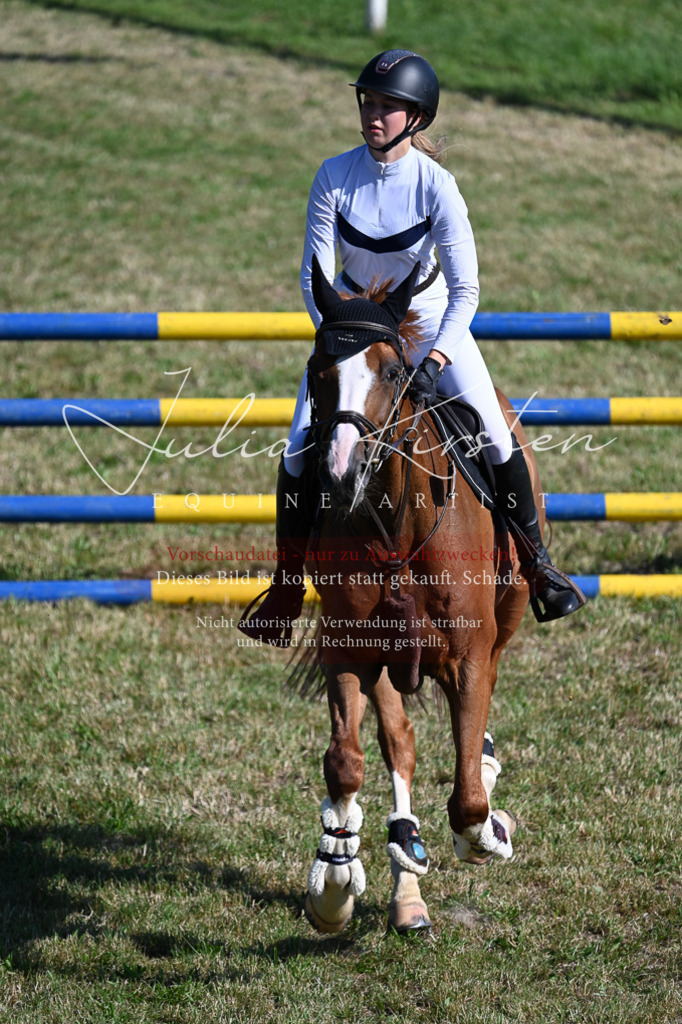 DSC_2286 | Pferde- und Turnierfotografie in Westsachsen. Pferdeportraits, Auftragszeichnungen und intuitive Kunst.