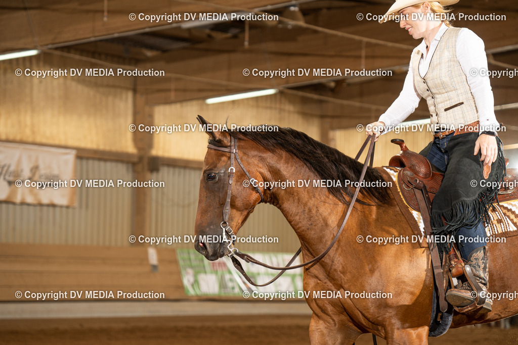 NID01390 | dv-media-shop - Realisiert mit Pictrs.com