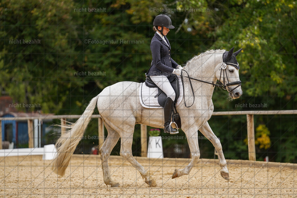 20231007-SN_00427 | Diessen am Ammersee, 2023, Dressur- und Springturnier, Reitsport, Turnierfotografie, Pferdebilder, Reitbilder, Turnierfotografen Bayern, Fotoagentur Herrmann