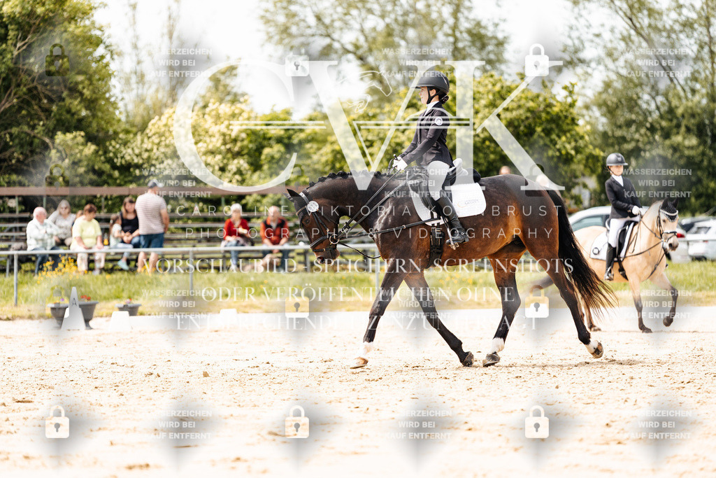 CK902458 | Turnierfotografie Pferdefotografie Trier Rheinland-Pfalz Pferdesport Reitsport Tierfotografie Sportfotografie Pferdevideo Pferdevideografie Equestrianvideography equestrianphotography  - Realisiert mit Pictrs.com