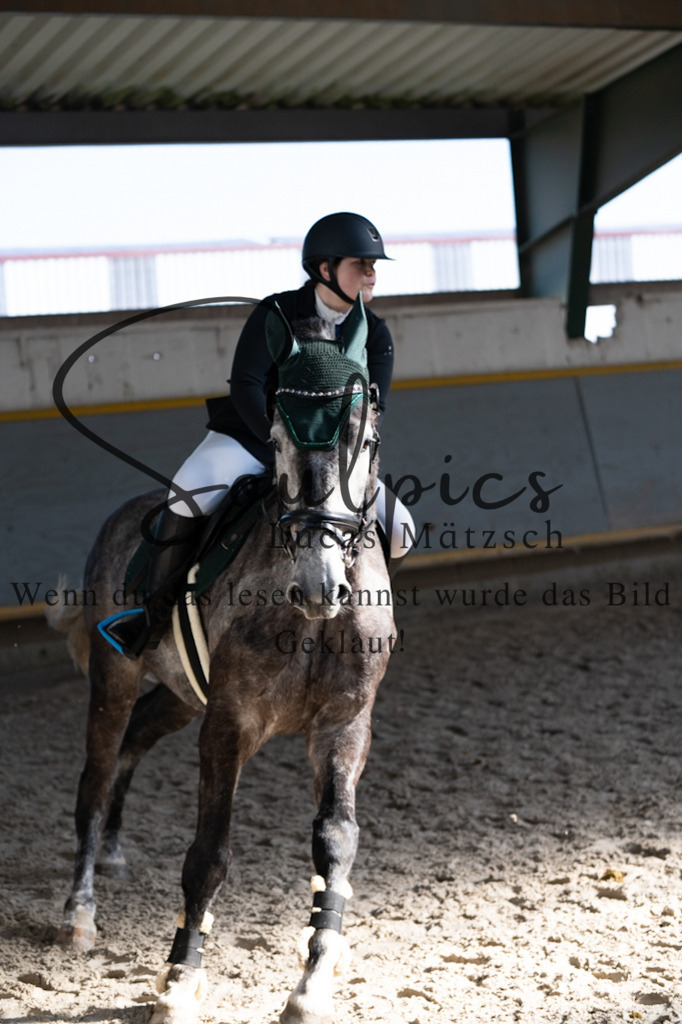 A7V06388 | Pferdefotograf