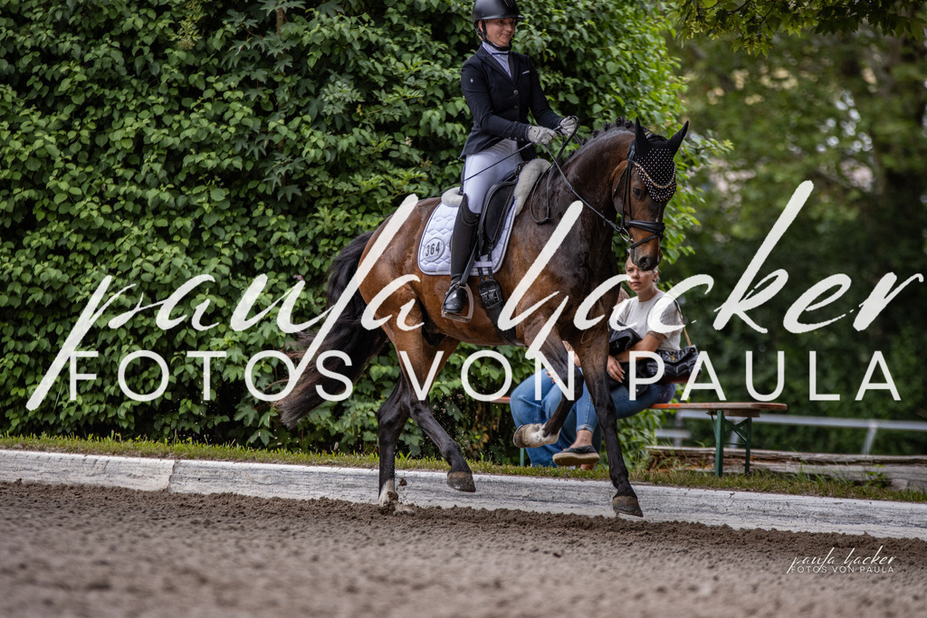 IMG_6961 | Erleben Sie dynamische Sport- und emotionale Tierfotografie in Süddeutschland mit Fotos von Paula. Spezialisiert auf Pferde- und Hundefotografie sowie Sportevents. Kontaktieren Sie mich für einzigartige und ausdrucksstarke Bilder Ihrer besonderen Momente. - Realisiert mit Pictrs.com