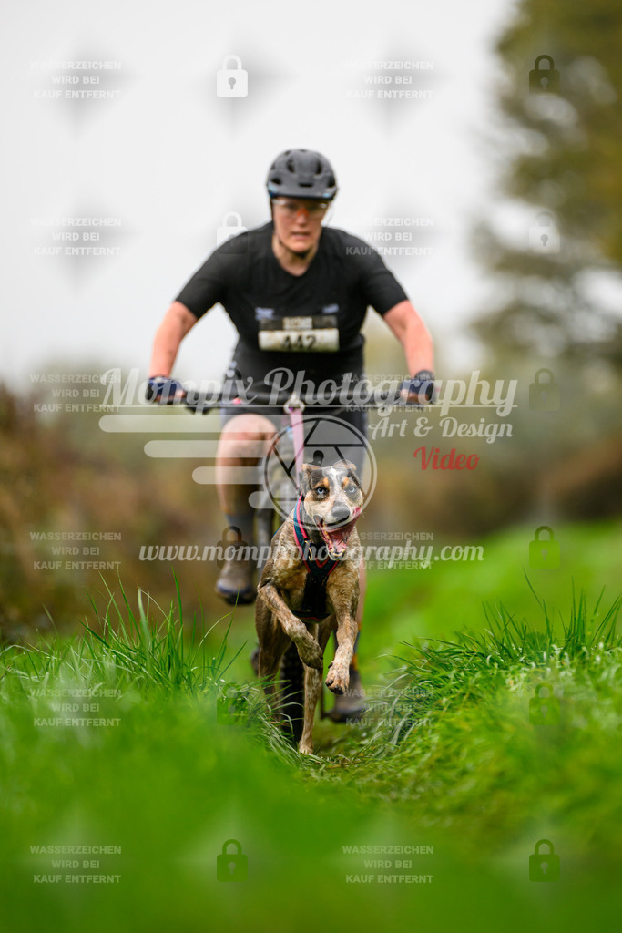 MompixPhotography_20TSB_E8_Bike-129 | PayLife