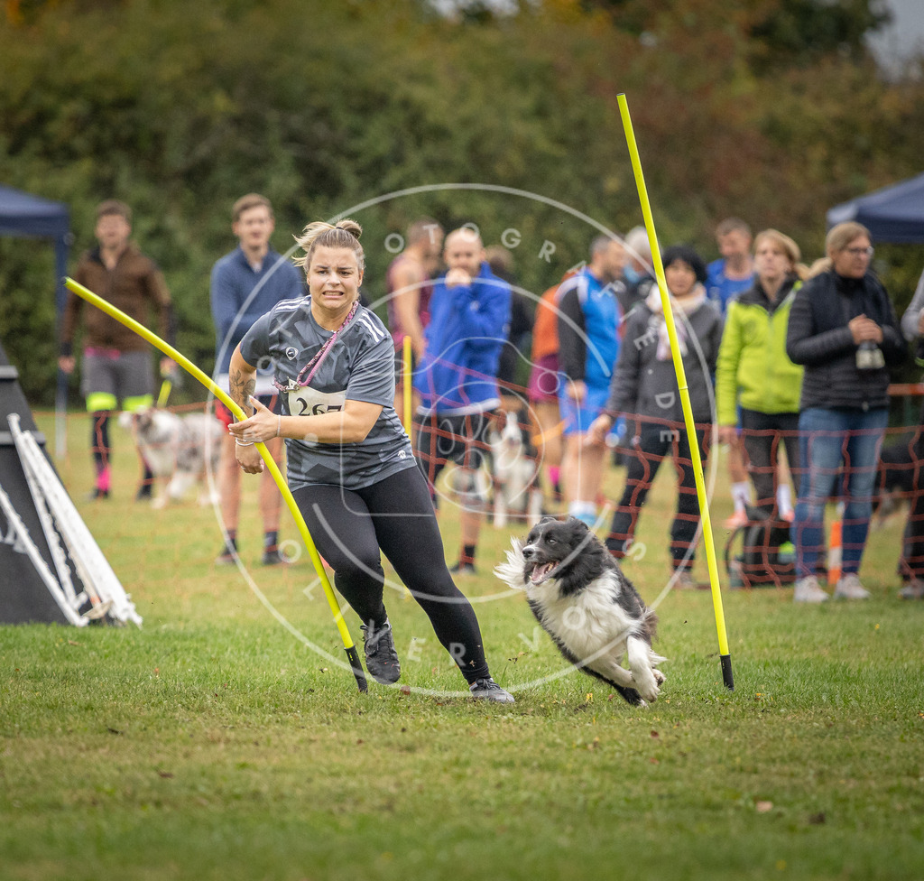 Pfotenfotografie_DV3A9888 | Hundefotografie, Tierfotograf, Pfotenfotografie, Fotoshooting Hund, Hunde Portrait, Hundesport, Hundeportraits, Heideshooting, Hunde, Sportfotograf, Hundefotograf, Turnierhundsport, THS,  - Realisiert mit Pictrs.com