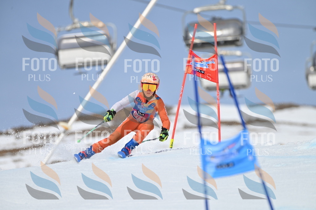 BGV_4040 | holidayphoto