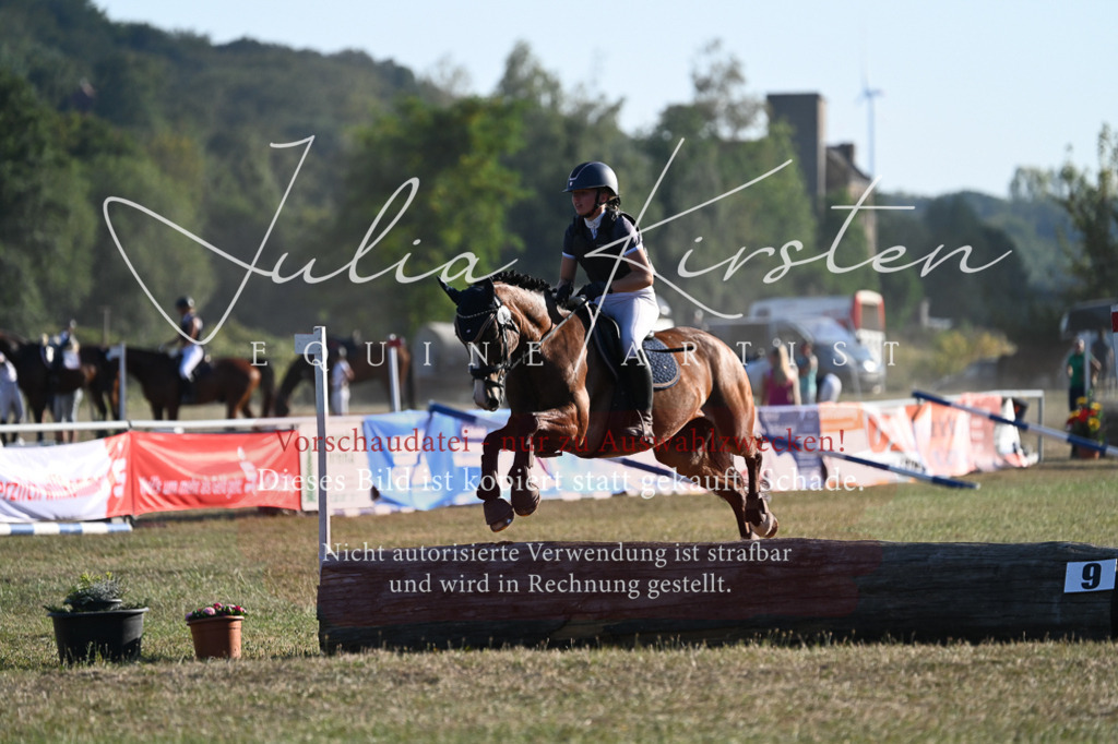 DSC_9091 | Pferde- und Turnierfotografie in Westsachsen. Pferdeportraits, Auftragszeichnungen und intuitive Kunst.