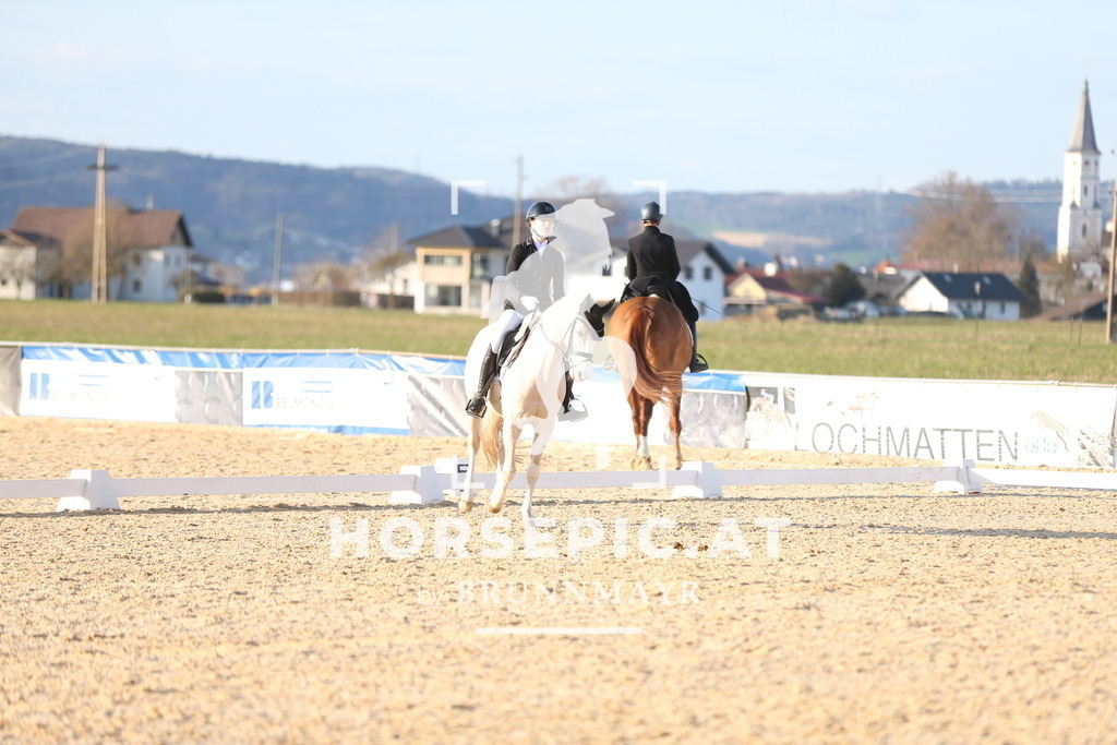 AS8V2267 | Willkommen bei Brunnmayr - Design & Fotografie – Ihrem Spezialisten für Reitturniere und Pferdeveranstaltungen in Oberösterreich, Salzburg und Bayern! Seit über 17 Jahren sind wir leidenschaftlich dabei.