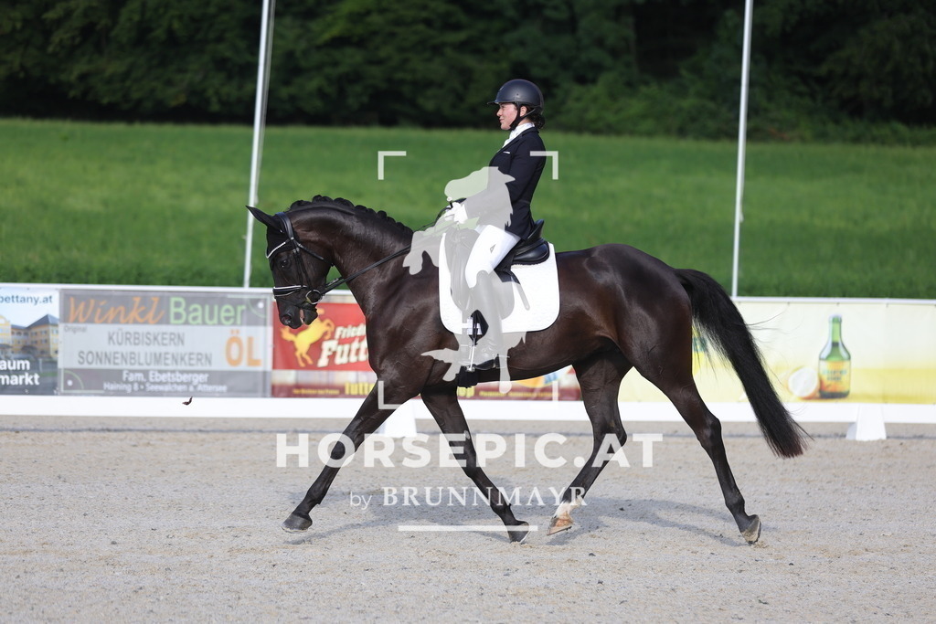 0P6A4255 | Willkommen bei Brunnmayr - Design & Fotografie – Ihrem Spezialisten für Reitturniere und Pferdeveranstaltungen in Oberösterreich, Salzburg und Bayern! Seit über 17 Jahren sind wir leidenschaftlich dabei.