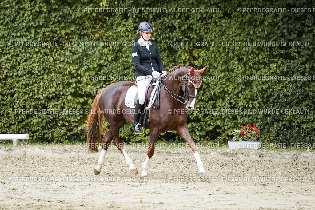 DSC06759 | Pferdegrafie