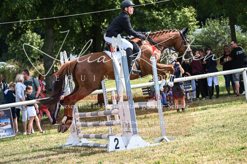 DSC_8170 | Pferde- und Turnierfotografie in Westsachsen. Pferdeportraits, Auftragszeichnungen und intuitive Kunst.