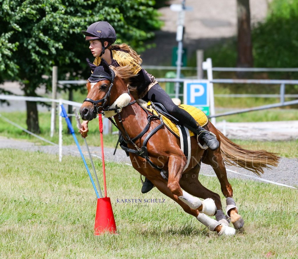 1B3A0590 | Reitsport Reiten