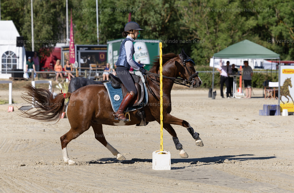 WL_Speed_86_KerstinBernhardt-5 | working equitationturnier fotograf videograf stoibphotography marixx film working equitation deutschland reitsport turnierfotografie eventfotografie equestrian events