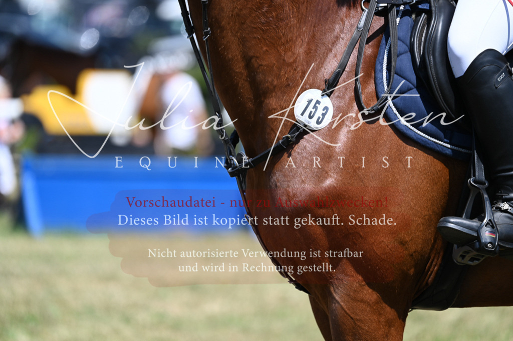 DSC_0652 | Pferde- und Turnierfotografie in Westsachsen. Pferdeportraits, Auftragszeichnungen und intuitive Kunst.