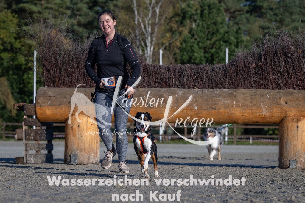 1017-_ZZ90577 | kk-dogfotos