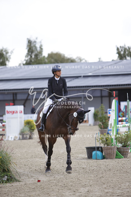 1J2A0298Louiza Tiedje_ Mr. Harms_ Kn755_ Havekost | Foto- und Videografie für alles rund ums Pferd. Hochwertige Bilder und Videos vom Spring- und Dressurreiten, Voltigieren & mehr. Jetzt aktuelle Veranstaltungen und Preise im Shop ansehen. - Realisiert mit Pictrs.com