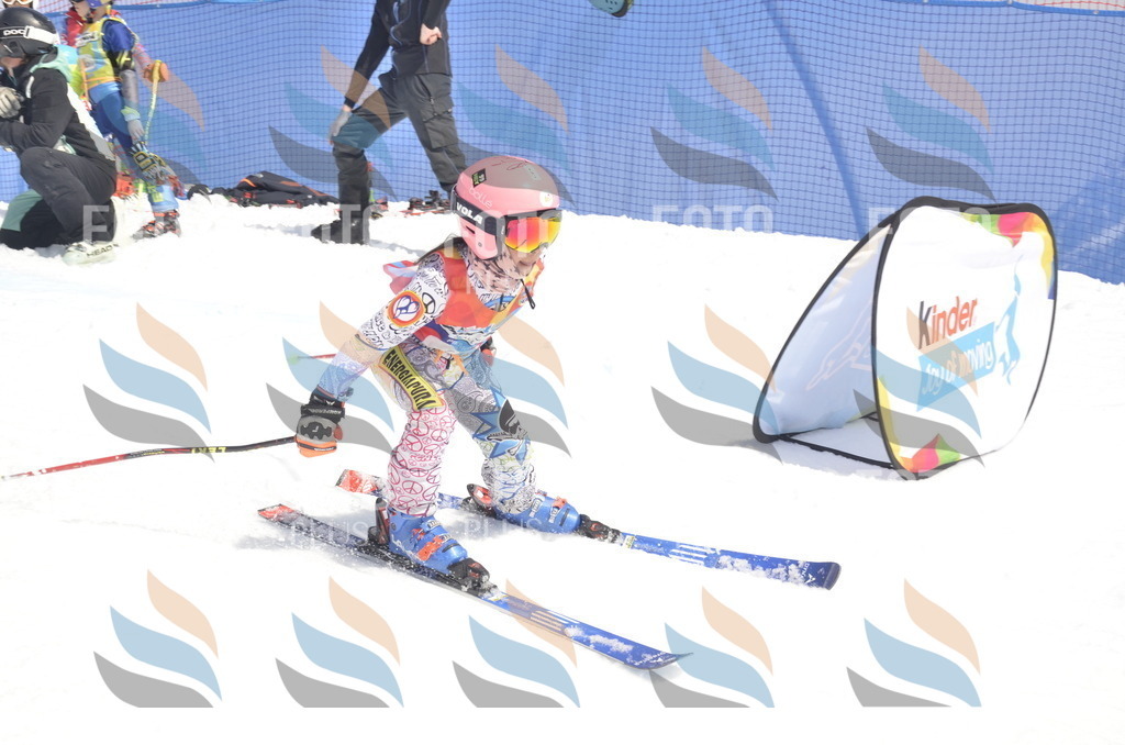 _ELE9230 | holidayphoto