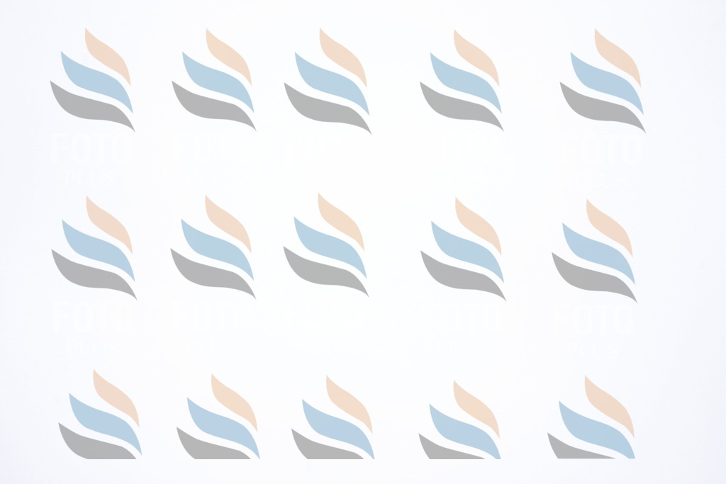 D7295 | holidayphoto