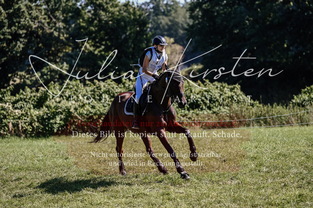 DSC_1766 | Pferde- und Turnierfotografie in Westsachsen. Pferdeportraits, Auftragszeichnungen und intuitive Kunst.