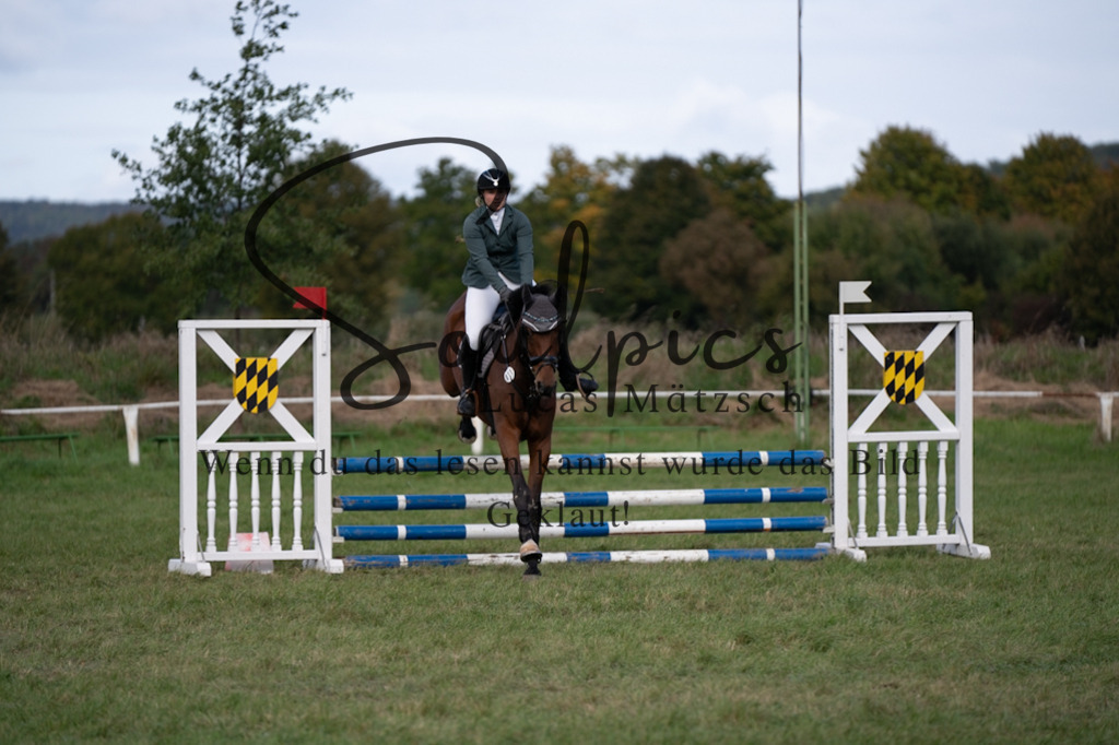 A7V06496 | Pferdefotograf