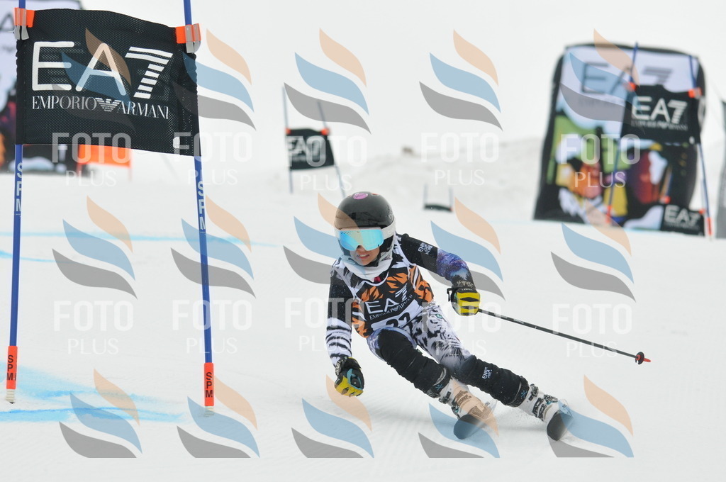 DSC_7482 | holidayphoto