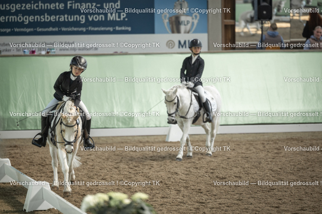 _D5A5713 | Emotionale Pferde- & People-Fotografie rund um Heidelberg, Leimen & Umgebung. Natürliche Fotos von Pferd, Mensch & Familie. Jetzt Termin sichern!