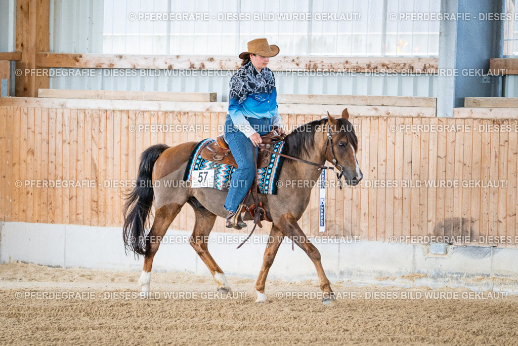 DSC01711 | Pferdegrafie