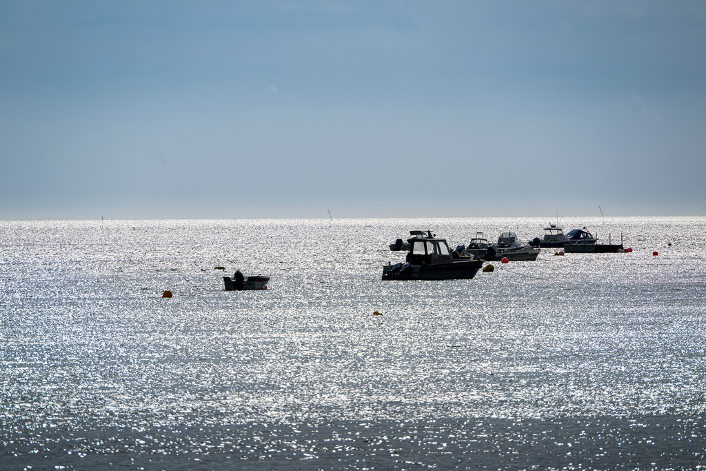 Boote auf glitzernder Nordsee vor Texel: Maritime Szenerie im Sonnenlicht | Mehrere Kleinboote und Motorboote ankern auf der ruhig liegenden Nordsee vor der Küste der niederländischen Insel Texel. Das Gegenlicht der Sonne verwandelt die Meeresoberfläche in ein stark glitzerndes, silbernes Lichtermeer, während sich die dunklen Silhouetten der Schiffe klar abzeichnen. Ideal nutzbar für redaktionelle Beiträge rund um Schifffahrt, maritimen Tourismus, Inselleben, Nordseeurlaub sowie Natur- und Lichtstimmungen an der Küste. - Realisiert mit Pictrs.com
