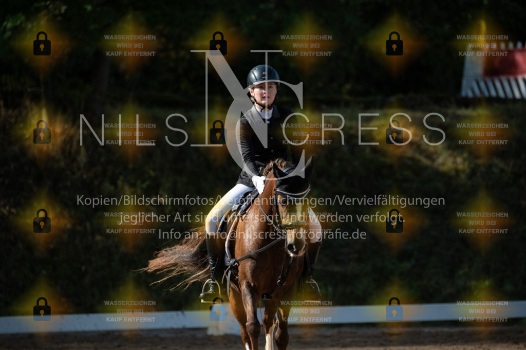DSC_8296 | Nils Cress - Fotografie - Realisiert mit Pictrs.com