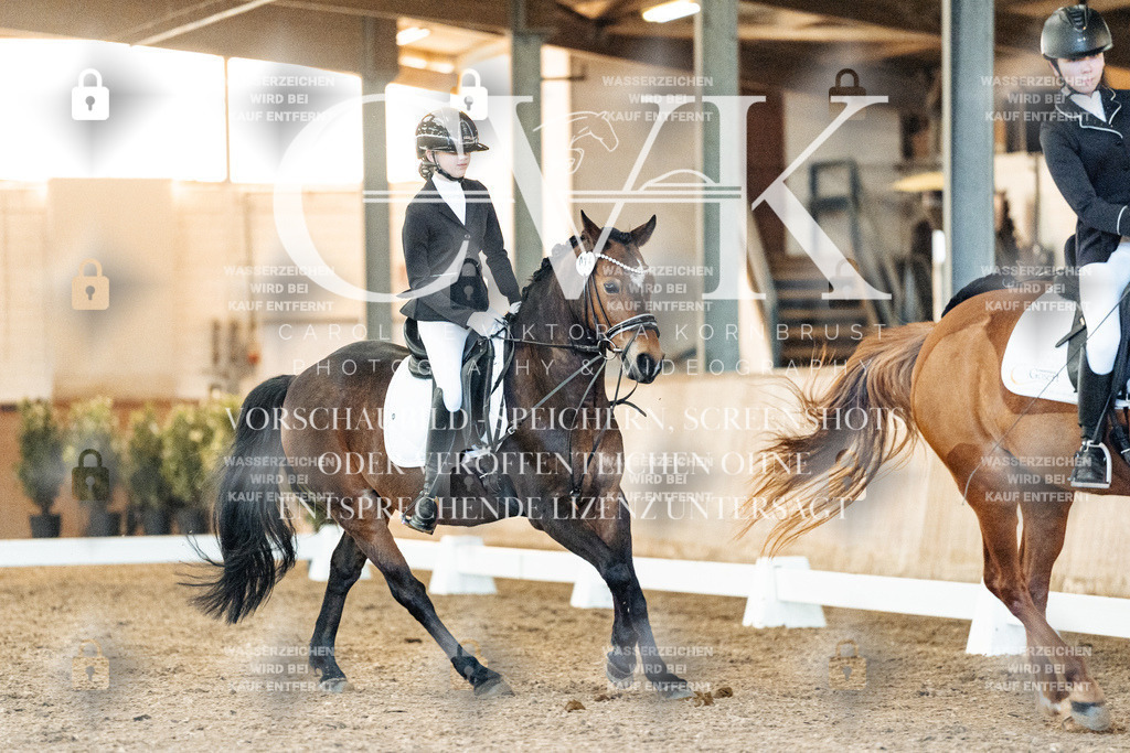 CK906614 | Turnierfotografie Pferdefotografie Trier Rheinland-Pfalz Pferdesport Reitsport Tierfotografie Sportfotografie Pferdevideo Pferdevideografie Equestrianvideography equestrianphotography  - Realisiert mit Pictrs.com
