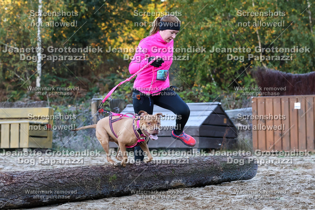 Dog Paparazzi - Strongdog 10-25-184 | Dog Paparazzi Jeanette Grottendiek Fotografie & Videografie - Realisiert mit Pictrs.com