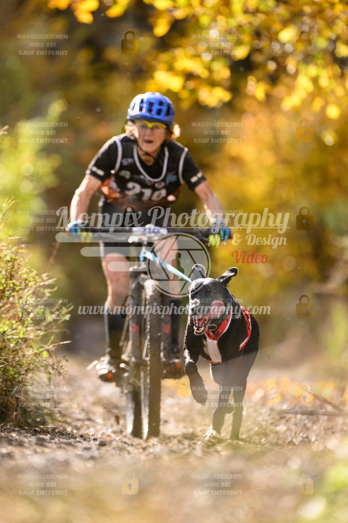 MompixPhotography_ICF_WC_2024_SA_Bike_-340 | PayLife