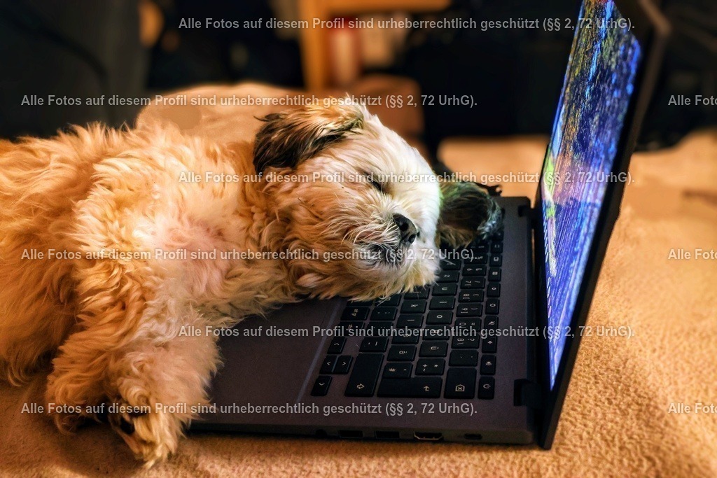 20240321213319_0C4A4107_4-01 | krollfotografie - Realisiert mit Pictrs.com