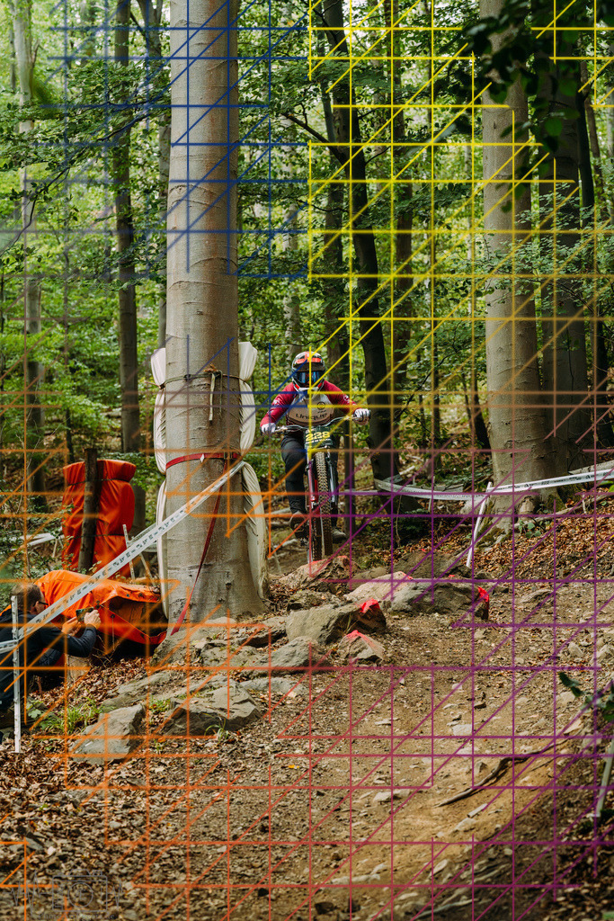 PAE-2114 | Einzigartige Fotokunst für dein Zuhause: Entdecke hochwertige Wandbilder, edle Prints und emotionale Motive von Wildlife, Natur und Landschaften - Realisiert mit Pictrs.com