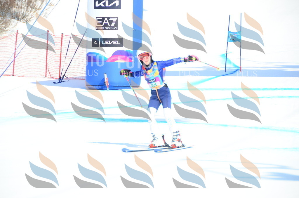 DSC_0322 | holidayphoto