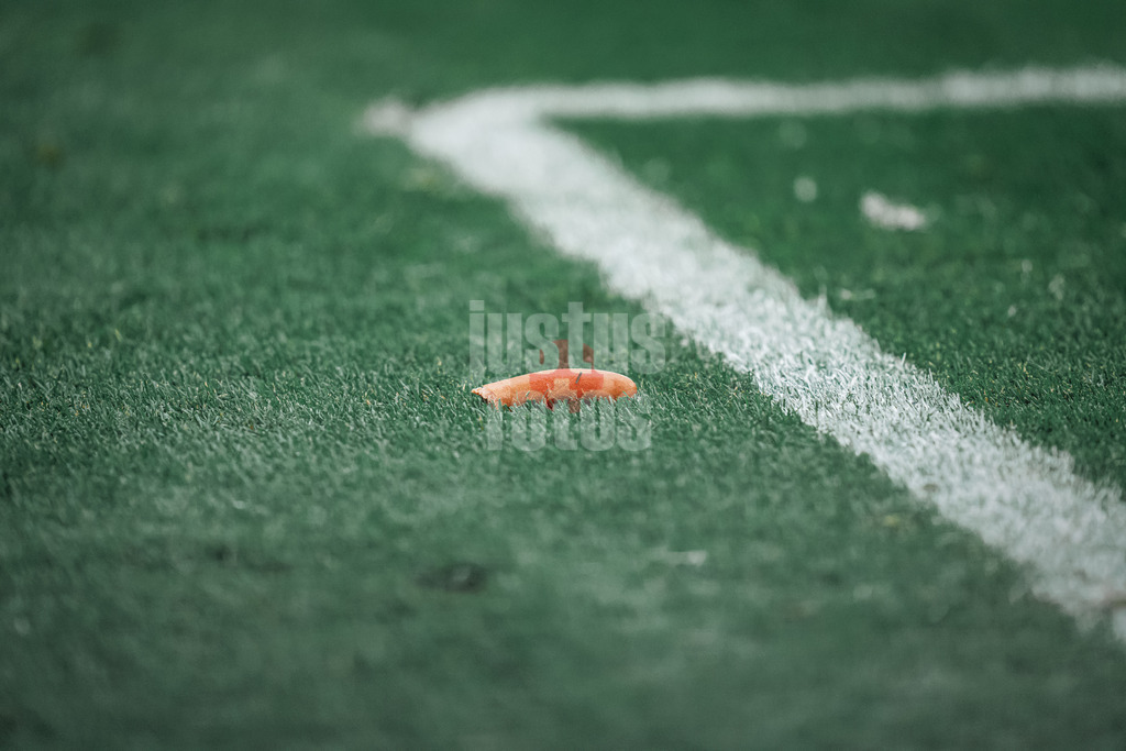 Fußball | Herren | UEFA-Fußball-Europameisterschaft 2024 | Gruppe B | Kroatien vs. Albanien | 19.06.2024 | eine Wurst liegt auf dem Rasen