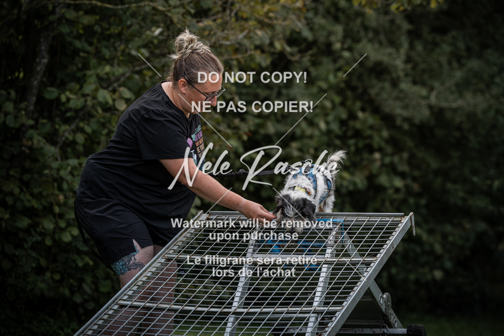 nelerasche_SoLauf_38 | nelerasche