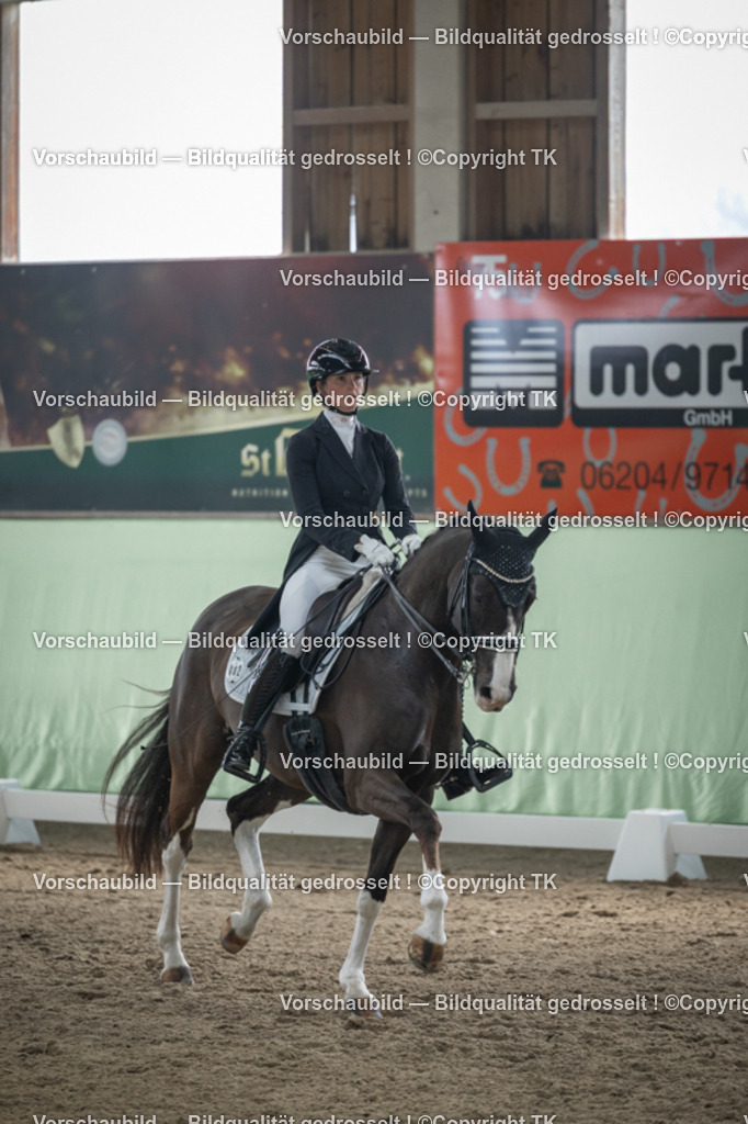 _D5A4972 | Emotionale Pferde- & People-Fotografie rund um Heidelberg, Leimen & Umgebung. Natürliche Fotos von Pferd, Mensch & Familie. Jetzt Termin sichern!