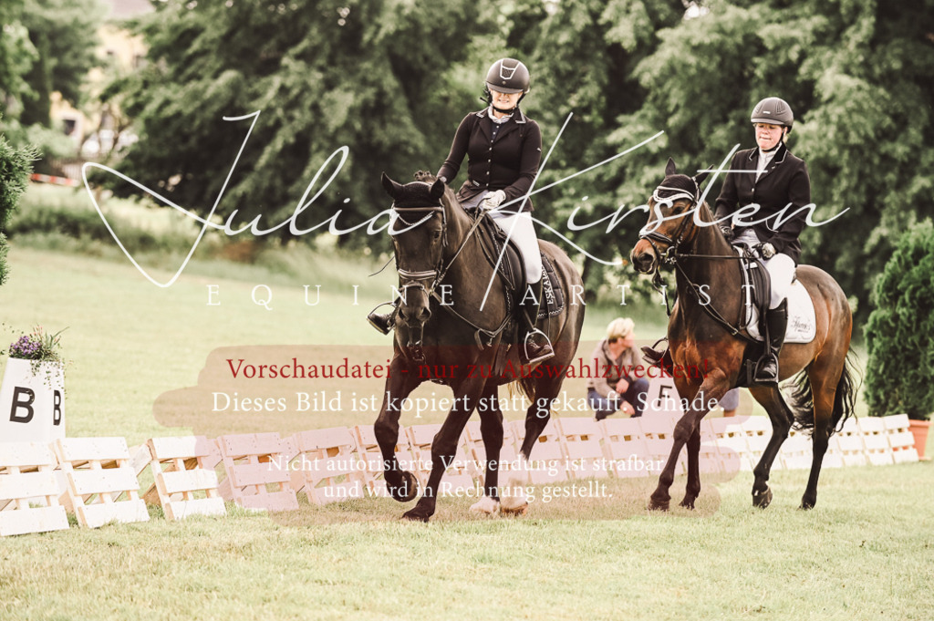 DSC_4906 | Pferde- und Turnierfotografie in Westsachsen. Pferdeportraits, Auftragszeichnungen und intuitive Kunst.
