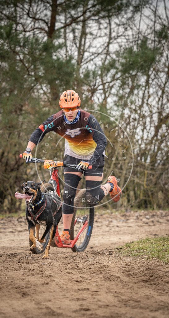 Pfotenfotografie_DV3A9995 | Hundefotografie, Tierfotograf, Pfotenfotografie, Fotoshooting Hund, Hunde Portrait, Hundesport, Hundeportraits, Heideshooting, Hunde, Sportfotograf, Hundefotograf, Turnierhundsport, THS,  - Realisiert mit Pictrs.com